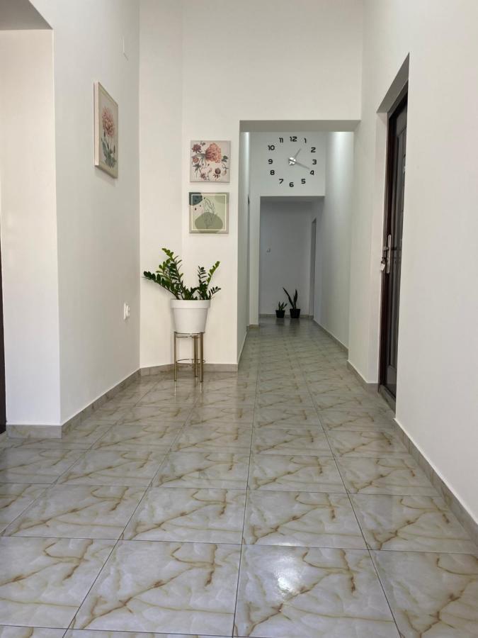 Lotus House Lejlighed Zrenjanin Eksteriør billede