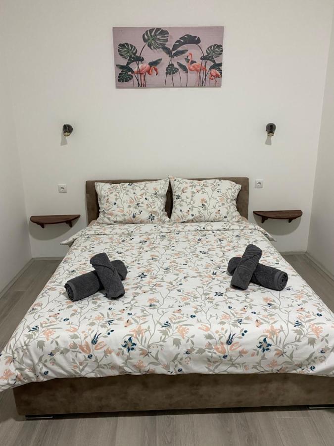 Lotus House Lejlighed Zrenjanin Eksteriør billede